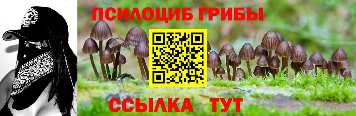 Псилоцибиновые грибы мухоморы Ноябрьск
